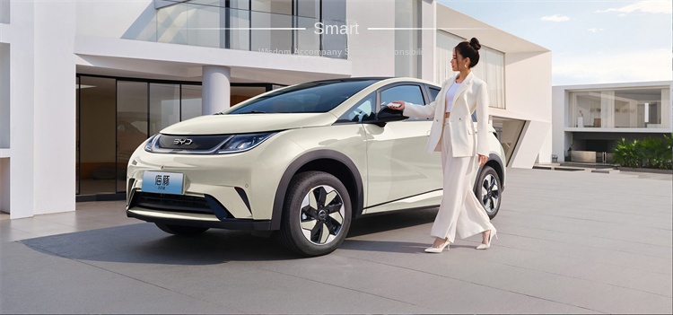 2025 BYD Dolphin: Compact Electric Vehicle Redefined