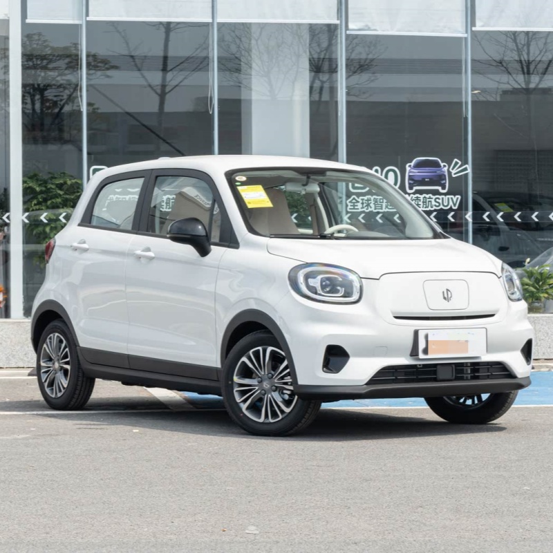 Electric Vehicle Export Guide 2025: EV Trends