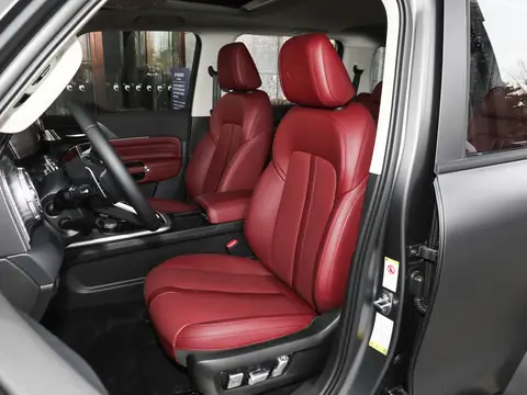 Tank 300 Off-Road SUV - Luxury Interior, Triple Locking Diffs