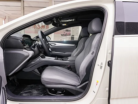 Luxury hybrid Chinese car