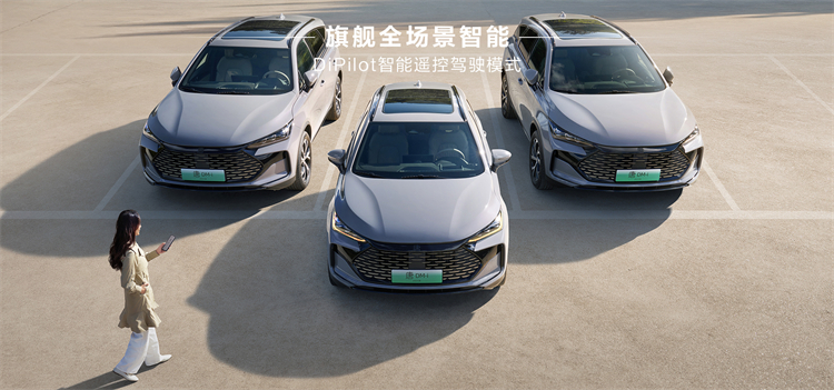 2025 BYD Tang DM-i