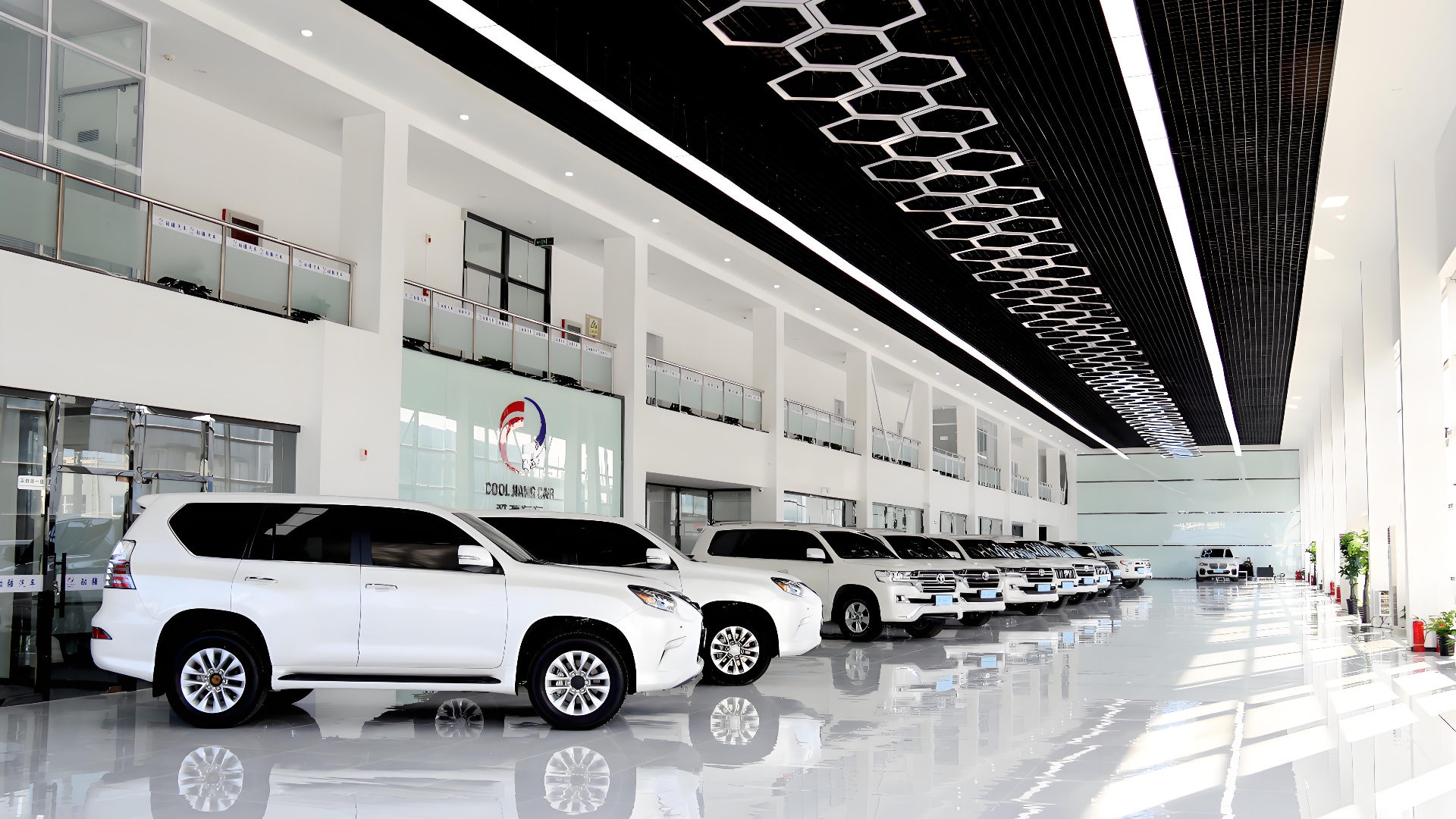 Electric vehicles (EVs) and hybrid cars for international markets