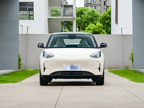 Geely Xingyuan export